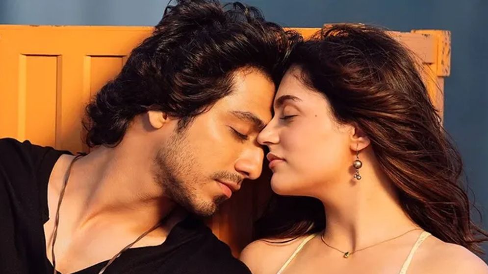 প্রচারণা ছাড়াই ব্লকবাস্টার ‘সাইয়ারা’, কিভাবে এলো এই সাফল্য?
