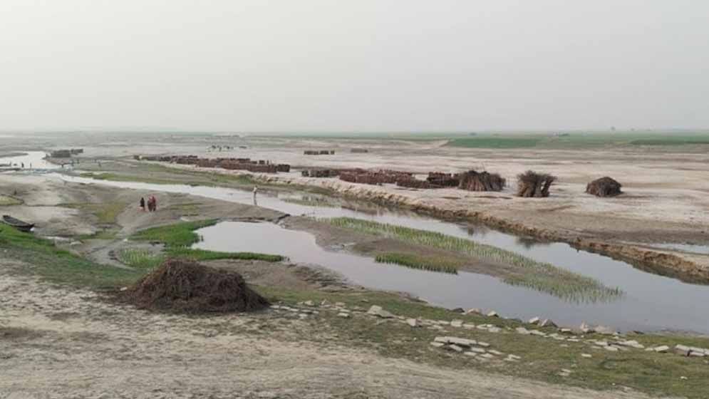 পদ্মার চরাঞ্চল সীমান্ত যেন ‘মৃত্যু উপত্যকা’